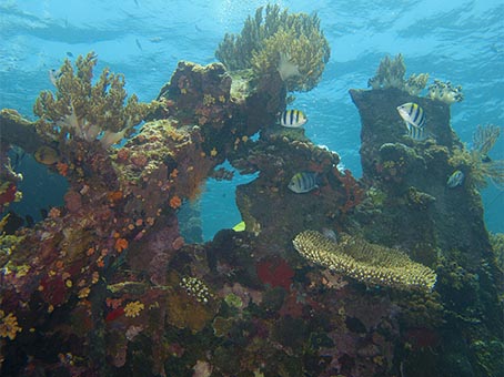 Japanese Wreck - Scuba diving holidays for beginners in Bali