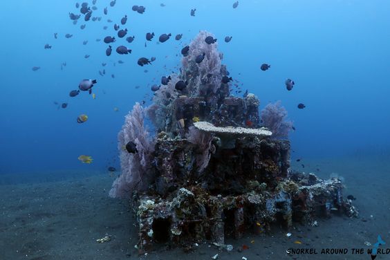 What Can You Do in Amed Diving?