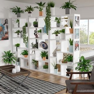 Choosing Houseplants When Going to Home Decor Store