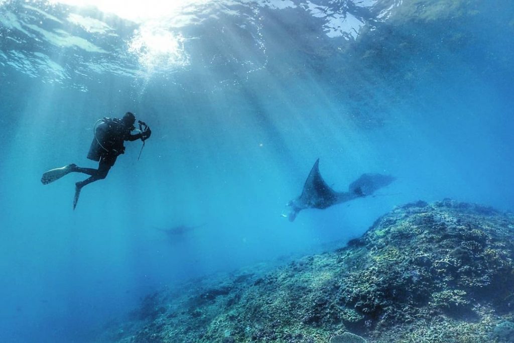 The Price of Scuba Diving in Bali; Is It Worth It? 