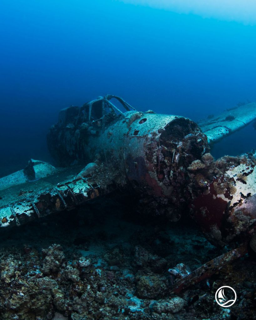 Sea Plane Wreck JAKE, Palau