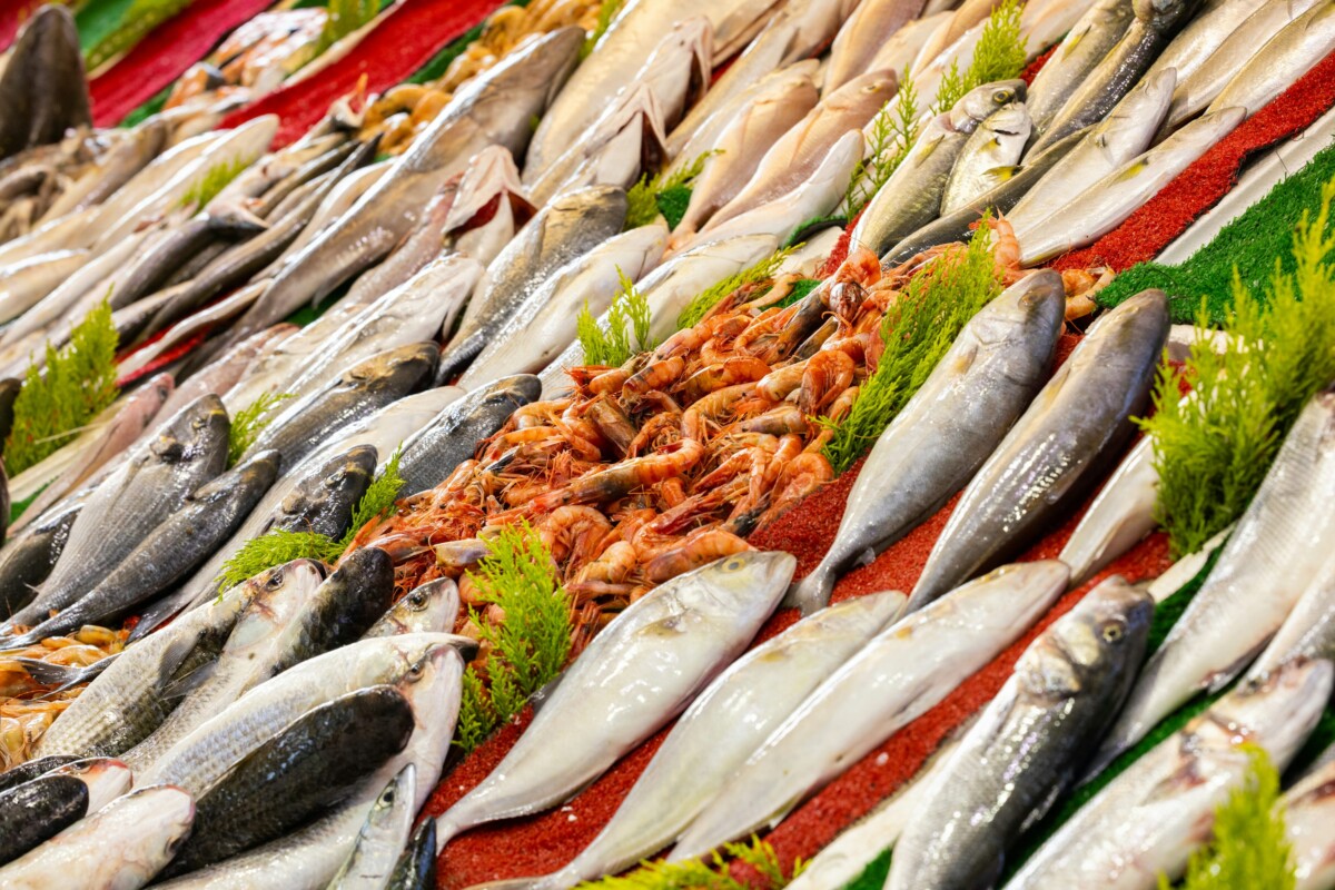 Top Seafood Supplier Indonesia for Global Export: Why the World Turns to Indonesian Waters